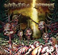 Septicemia (IDN) : Septicemia - Antraks